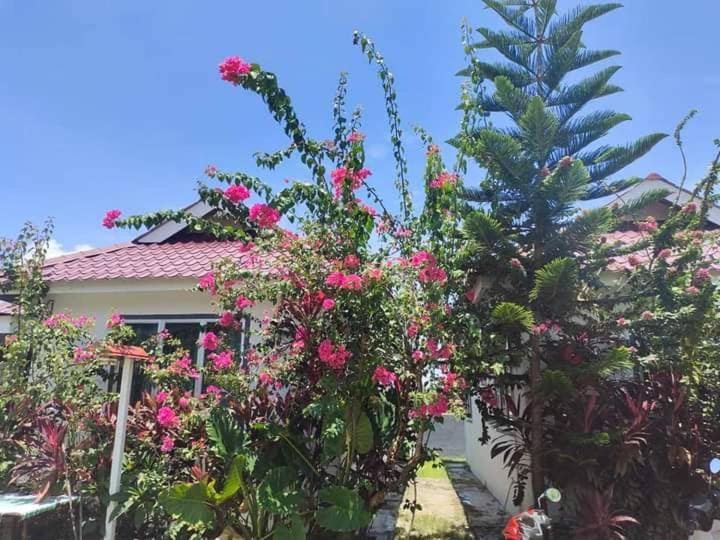 Langkawi Homestay Bunga Padi Kuah Luaran gambar